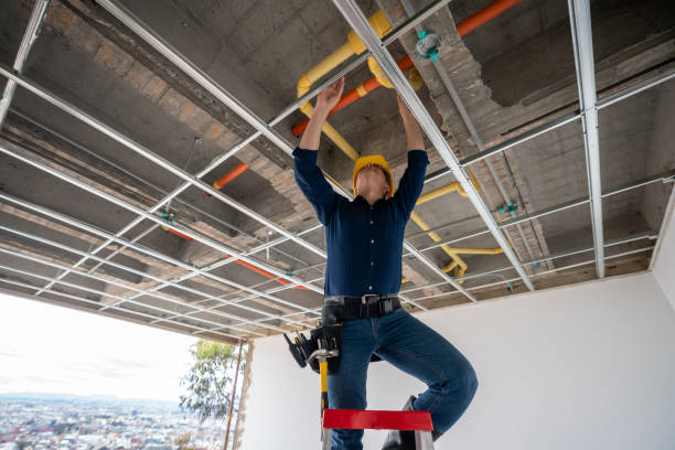 Best Plumbing Repair Near Me  in Richnd, MO